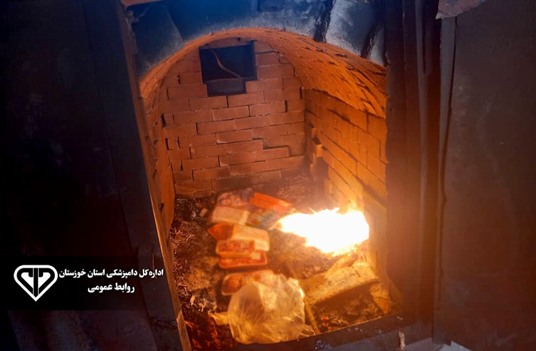 ضبط و معدوم‌سازی ۳۰۰ کیلوگرم مرغ غیرقابل مصرف در شوش